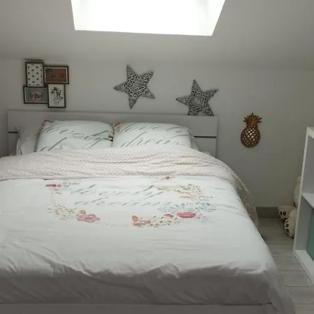 בית אירוח Chambres Pres Des 24h Le Mans